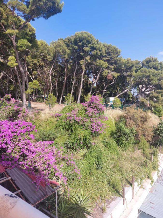 Zoxi Apartmani Split Exteriér fotografie